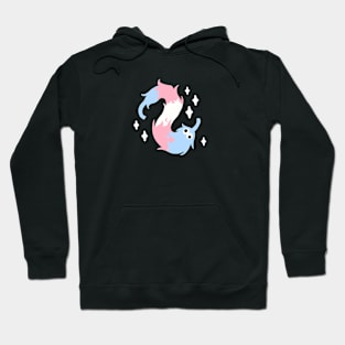 Trans Worm on a String Hoodie